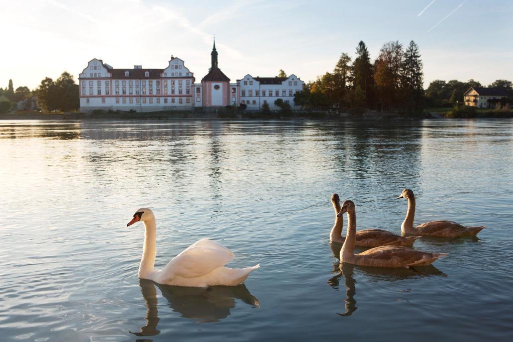 Gesundheitshotel Gugerbauer Шердинг Екстериор снимка